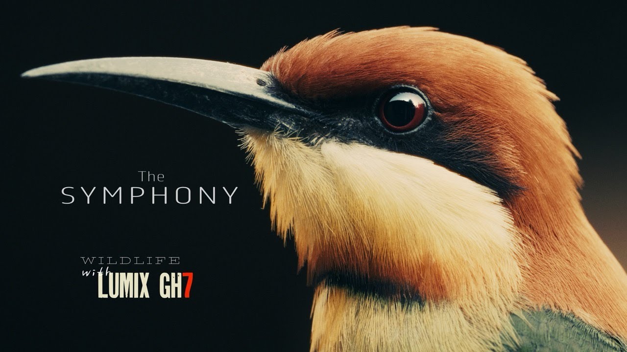 Stunning Wildlife Cinematography in Nepal | Lumix GH7