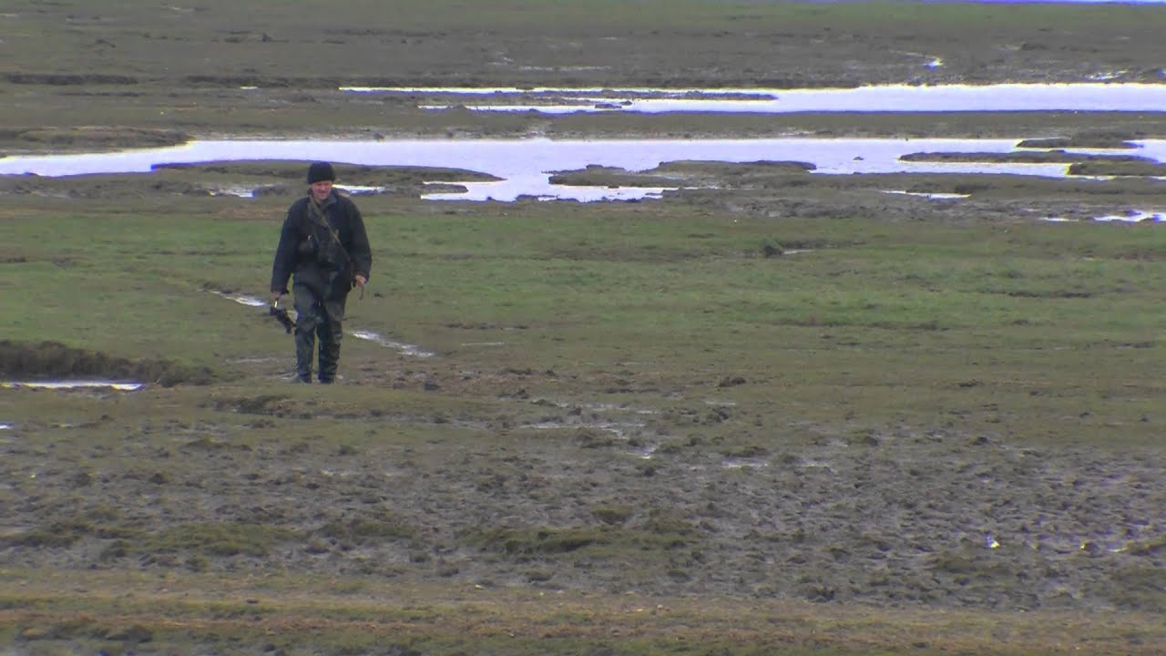 Wetland Birds Survey (WeBS), Ribble Estuary National Nature Reserve, March 11th 2012