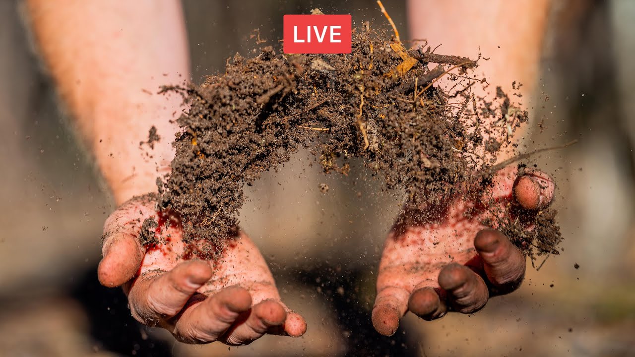 Agricoltura BIODINAMICA, consigli per l'orto e l'oliveto. Con Mimmo Genovesi