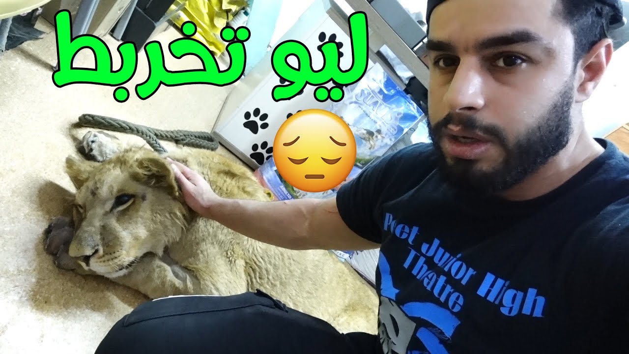 عشت مغامرة وعاصفة 🌪 ليو مريض وطلع من صندوق السيارة 😢 
