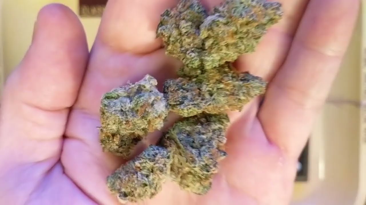 Biskante 23% Alien Labs Trulieve Eustis