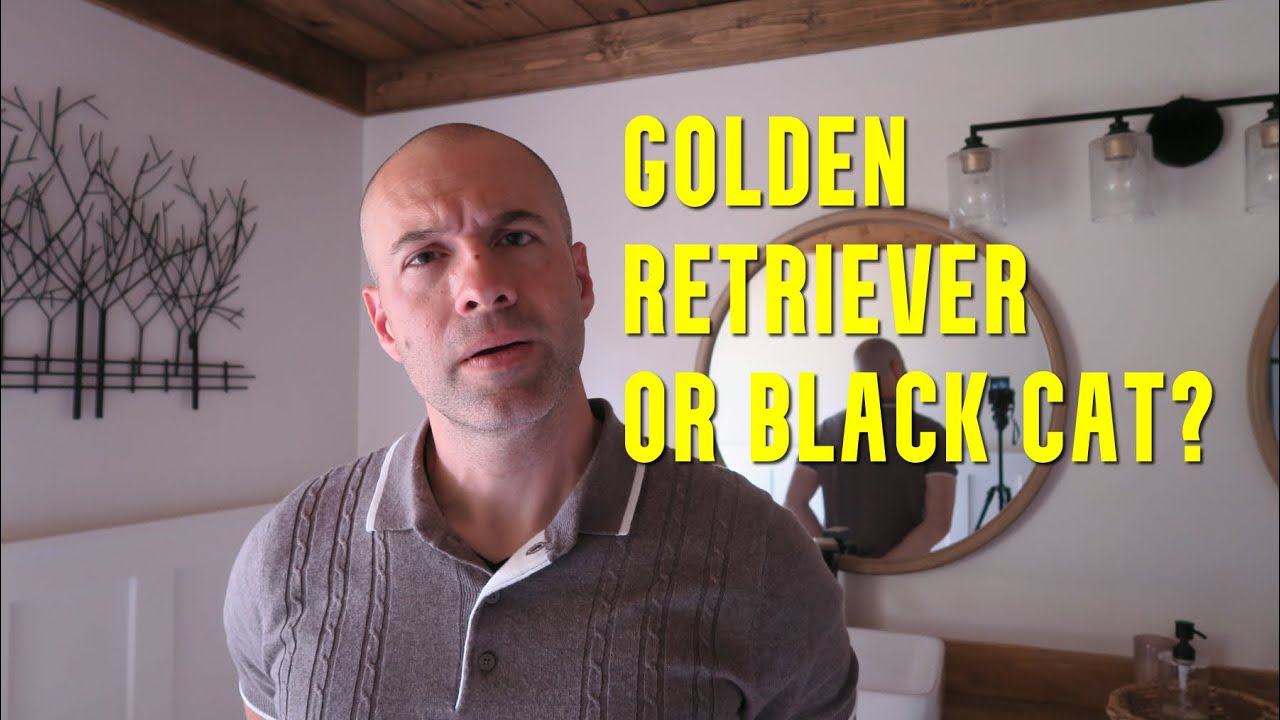 Men are Black Cats Who Seek Validation, While Women are Golden Retrievers Who Seek Attention