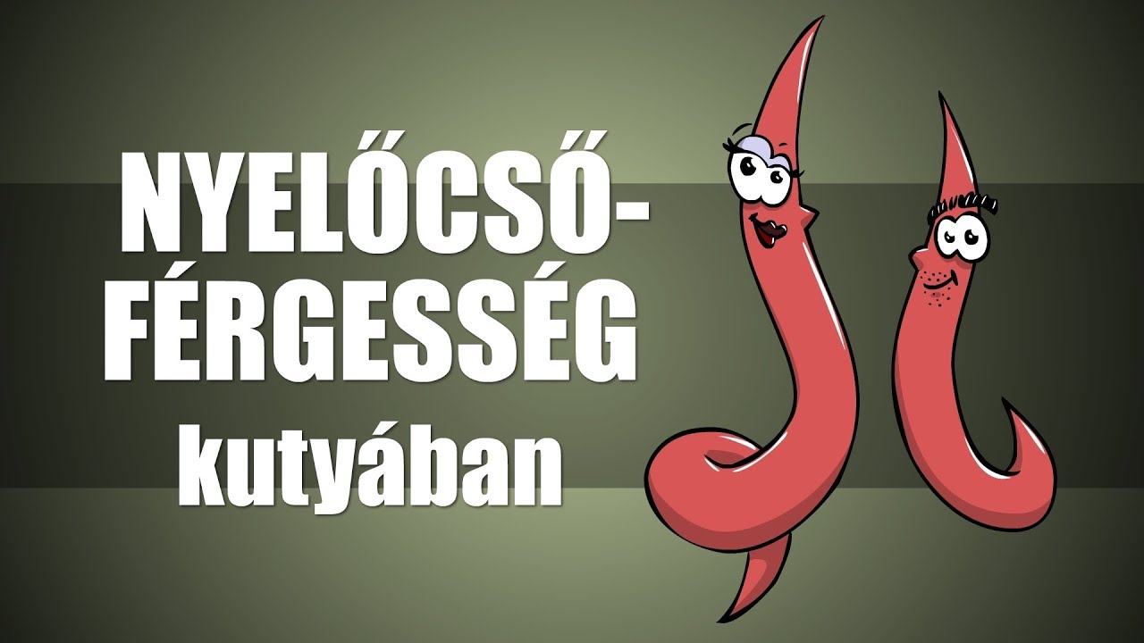 Nyelőcsőférgesség - csak egyszerűen