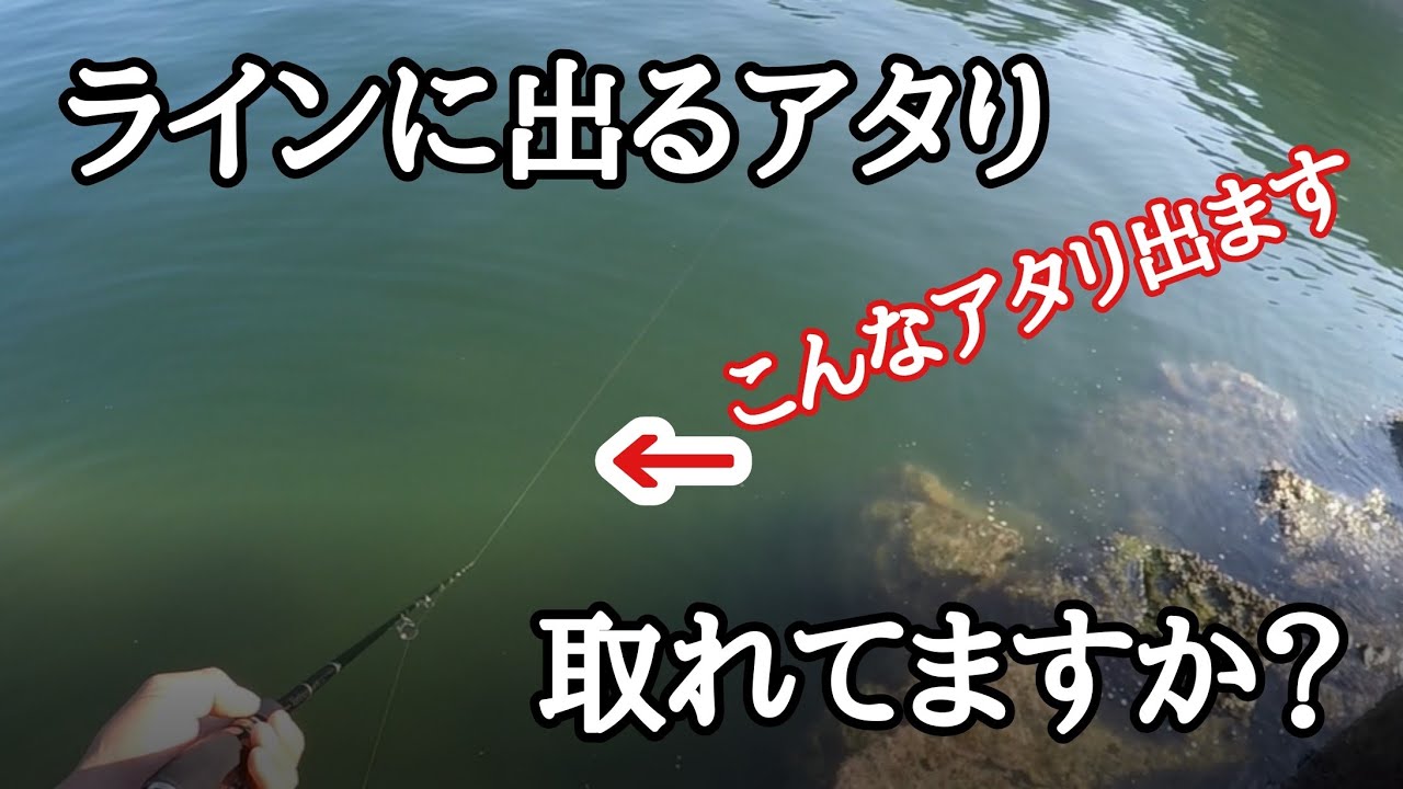【エギング】ラインで取るアタリの出方