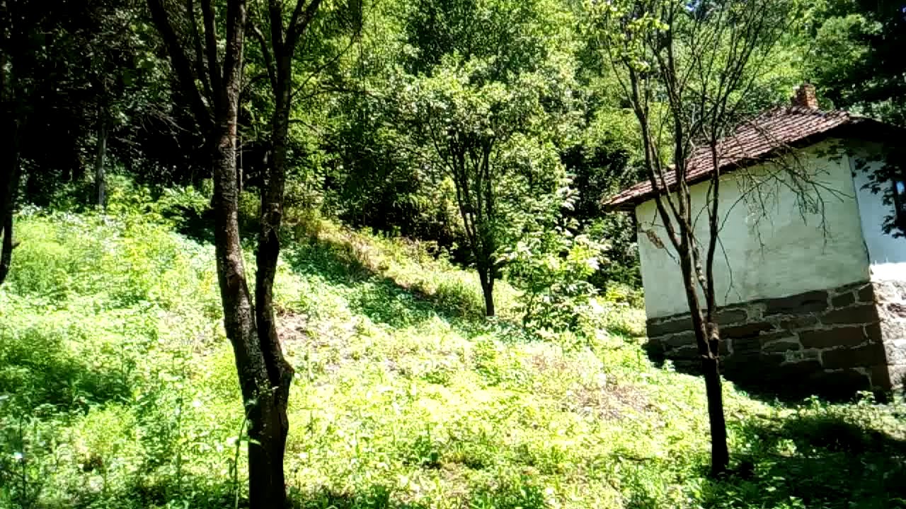 Prodaja placa u okolini Savinac jeftino