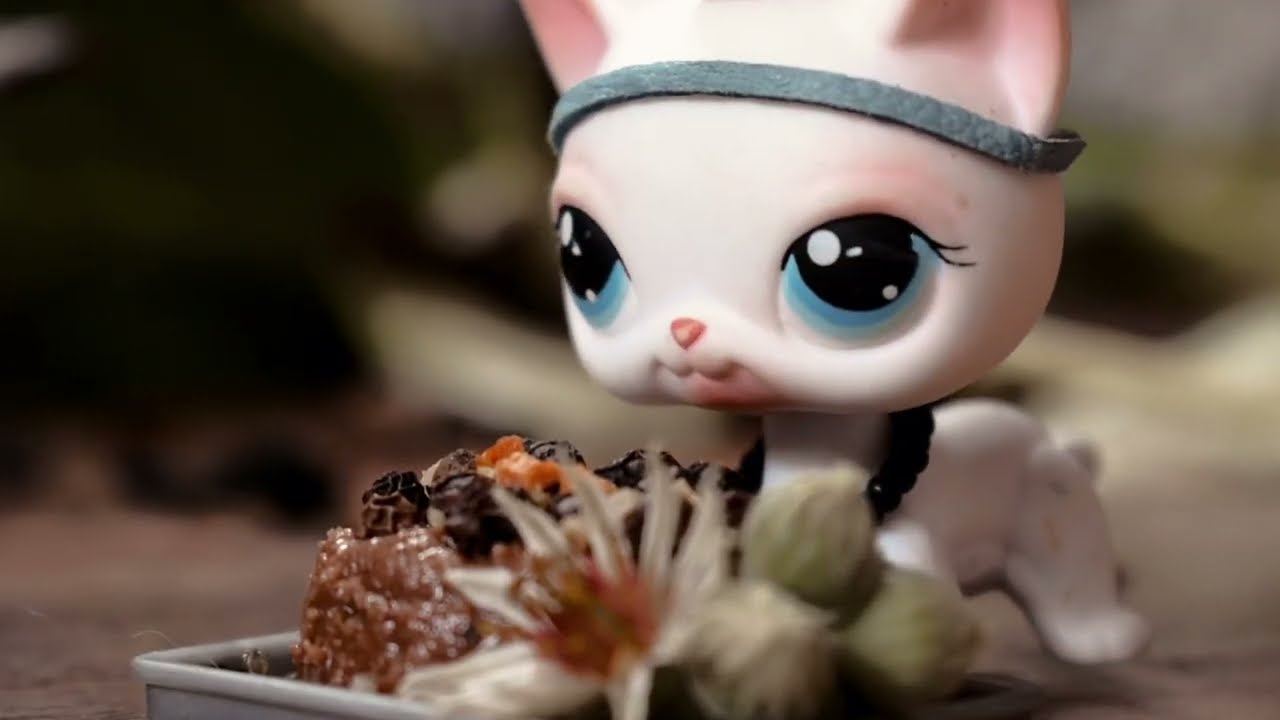 Littlest pet shop: Dorty z bažin (část druhá)