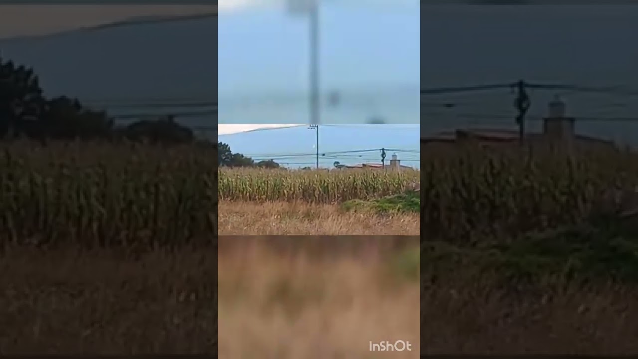 Biocidas