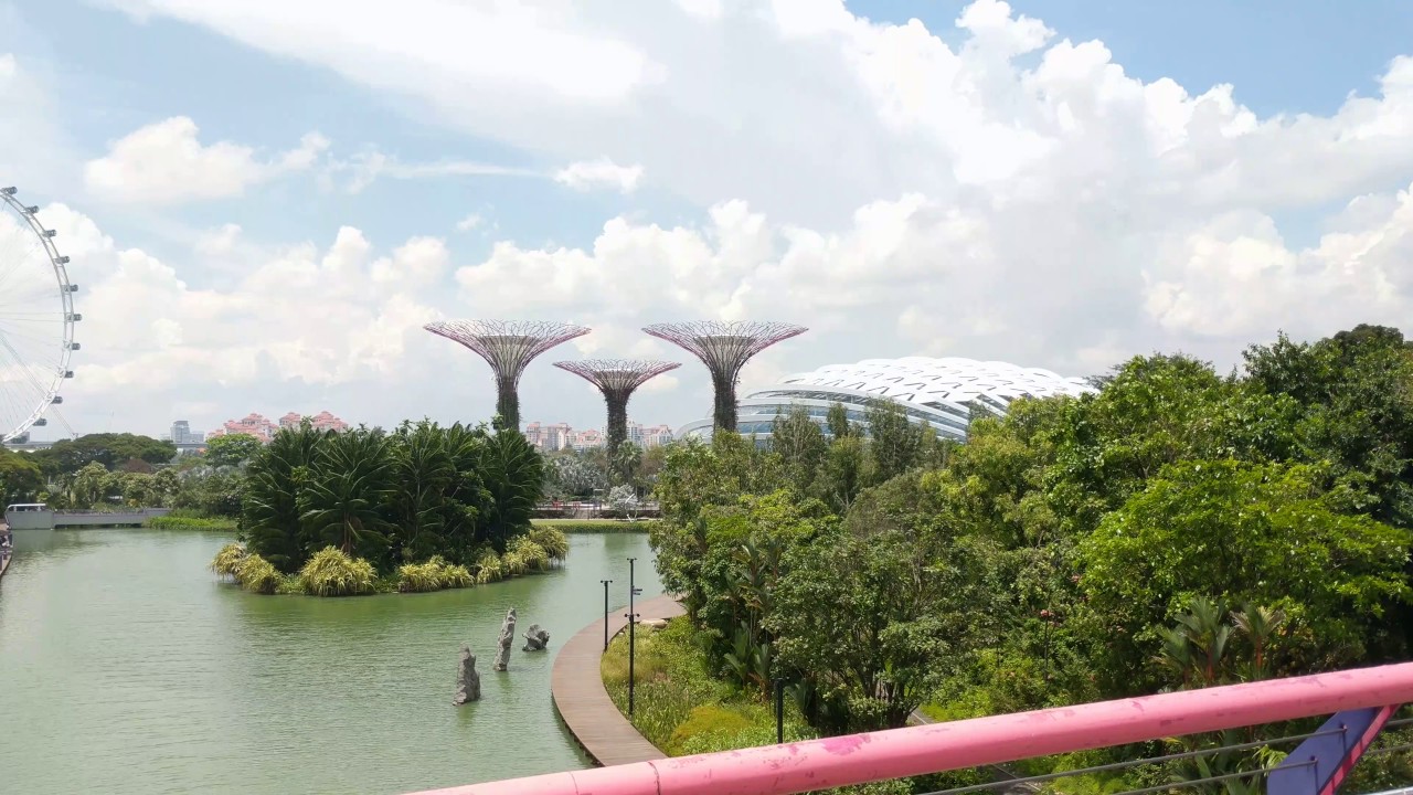 Dragonfly Bridge Singapore Walk April 2017