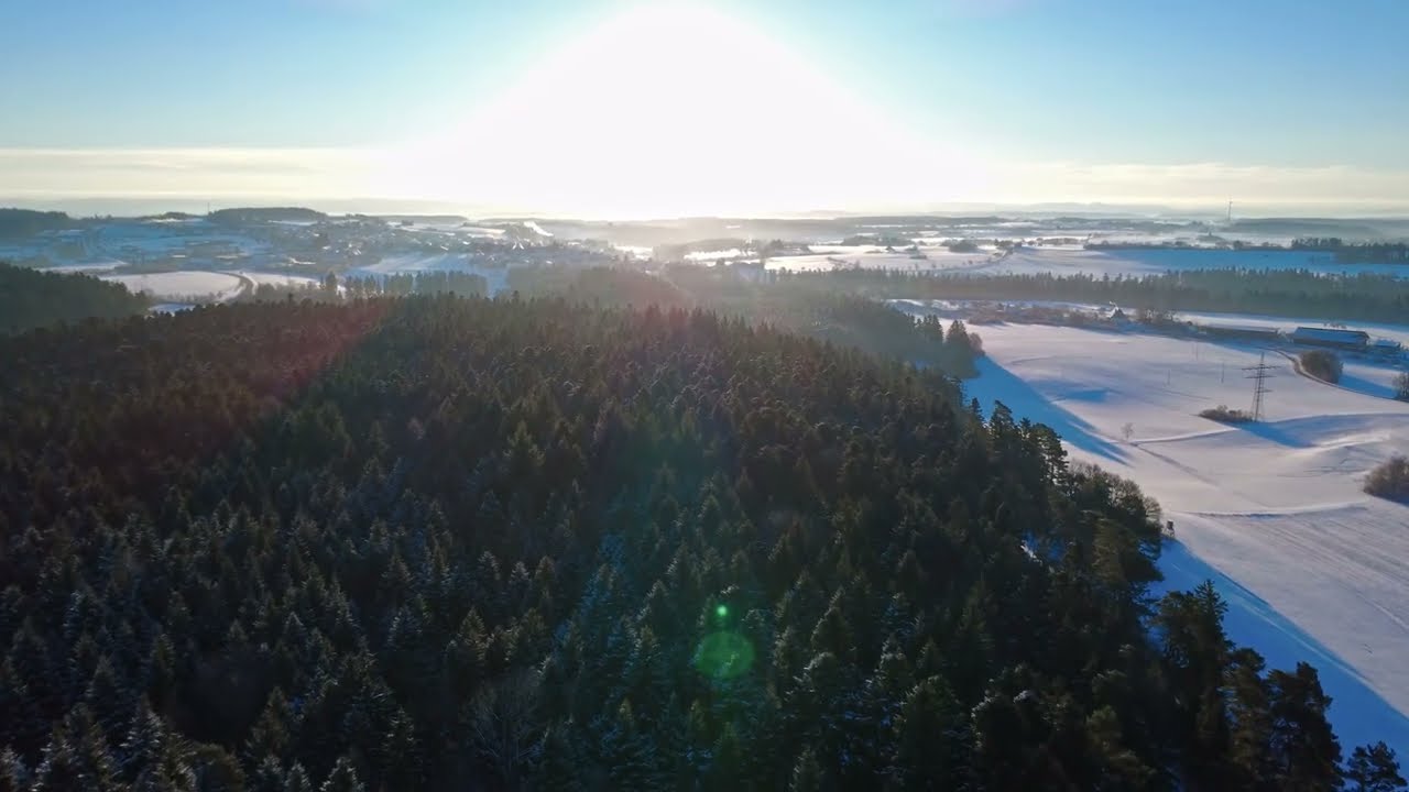 Wintermorgen im Schwarzwald ❄️ | DJI Mini 4K