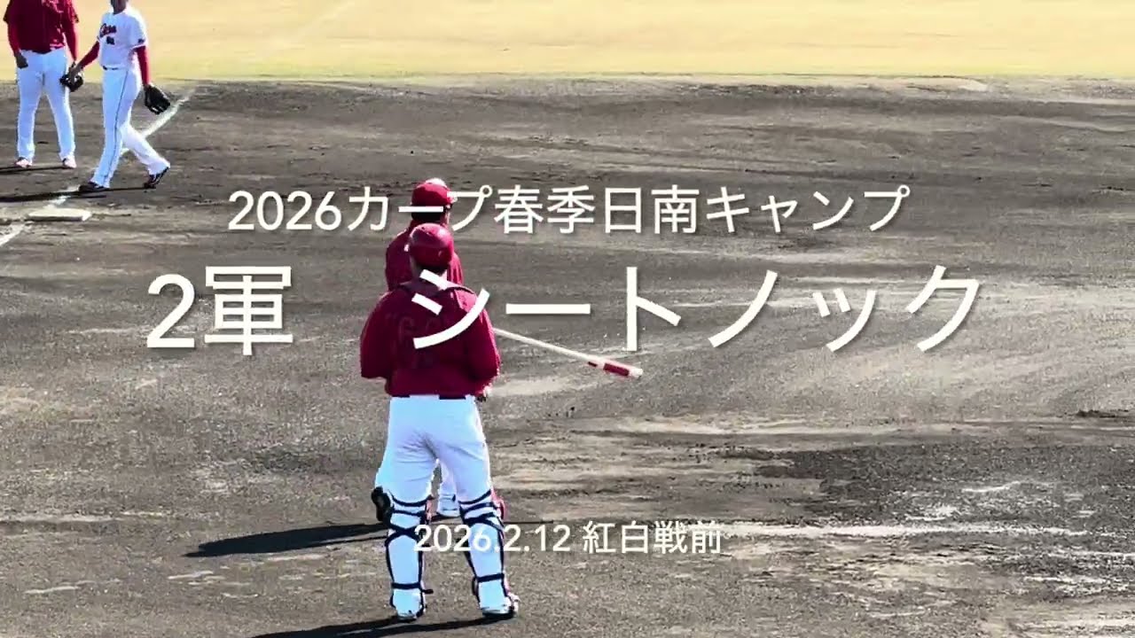 アピールの場となるか2軍紅白戦前のシートノックです！！【2026.2.12春季日南キャンプ第3クール3日目】#広島カープ#紅白戦#2026春季日南キャンプ#東光寺球場