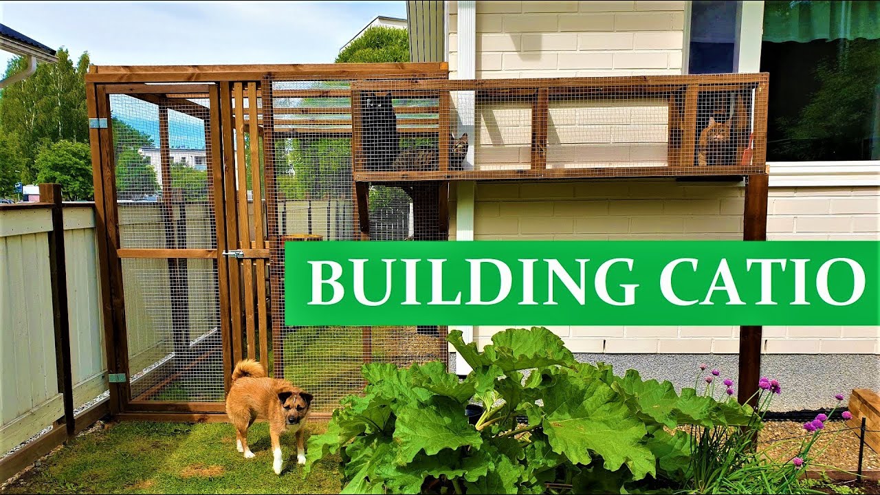 CATIO - CAT PATIO - CAT HOUSE - How to BUILD