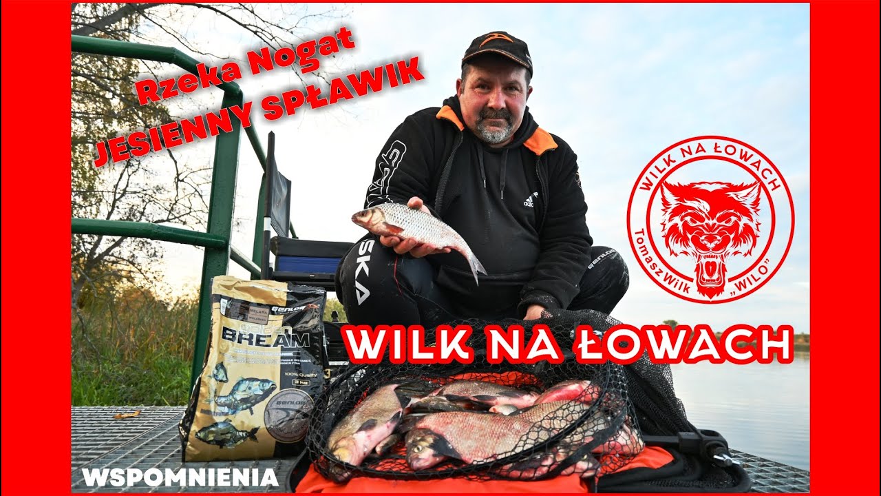 Golden Bream i jesienny spławik na rzece Nogat WSPOMNIENIA  -  Wilk Na Łowach by Genlog