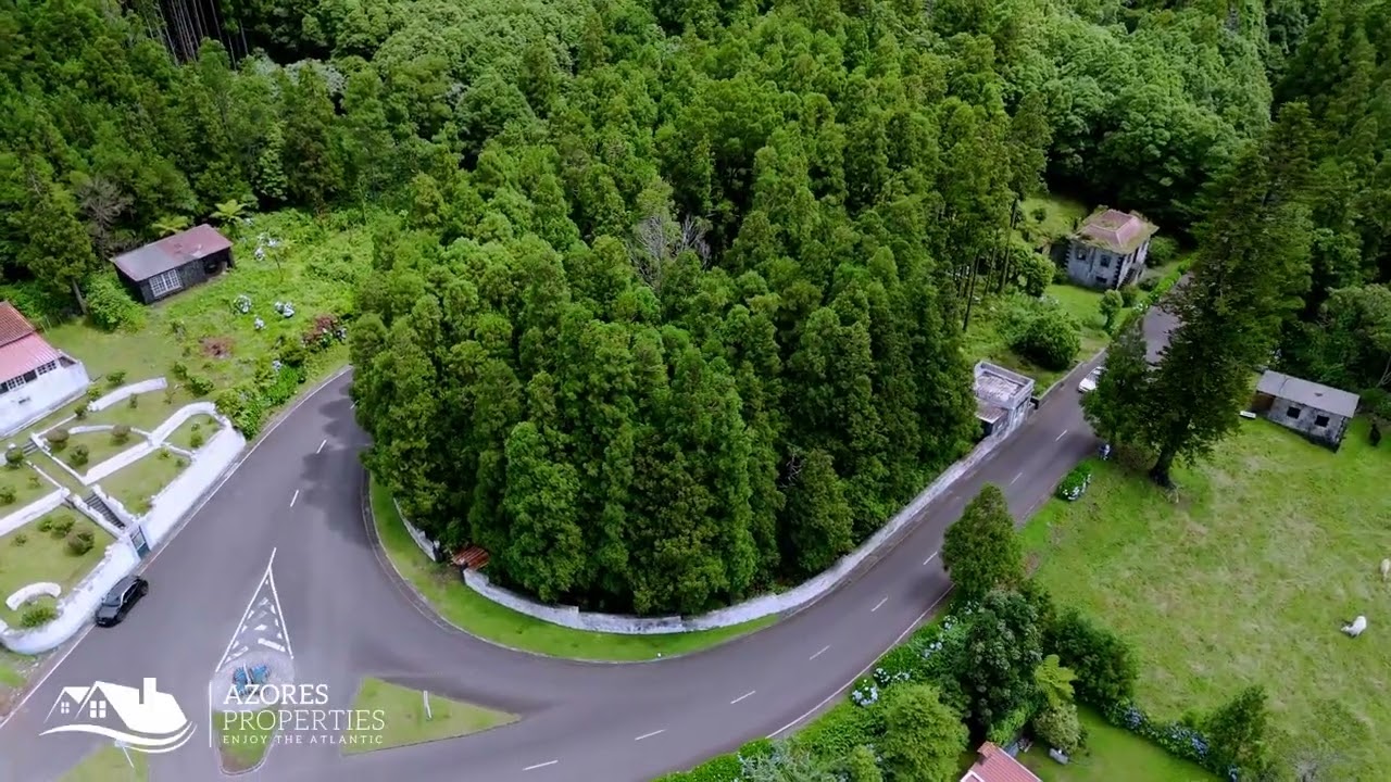 Forest plot with a historic house in Faial island