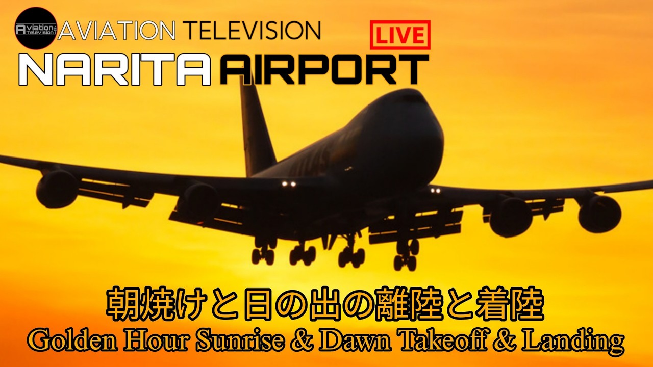 [🔴 LIVE] NARITA INTERNATIONAL AIRPORT LIVE|成田国際空港ライブ配信中|PLANE SPOTTING|2026|02|15
