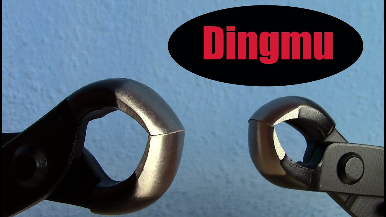 Unboxing herramientas bonsai Dingmu