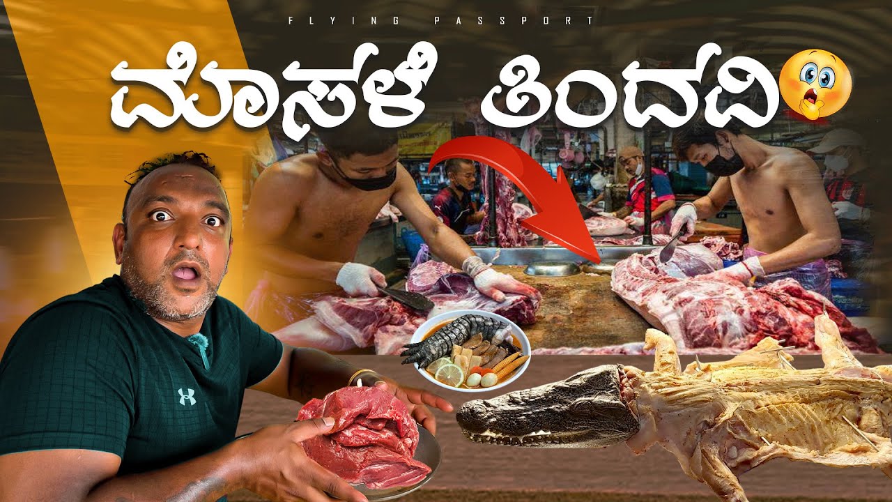 ಮೊಸಳೆ🐊 ಕಾಂಗರೂ🦘 ತಿಂತಾರ ಈ ದೇಶದಲ್ಲಿ ?? Wild Australia🇦🇺 | Flying Passport