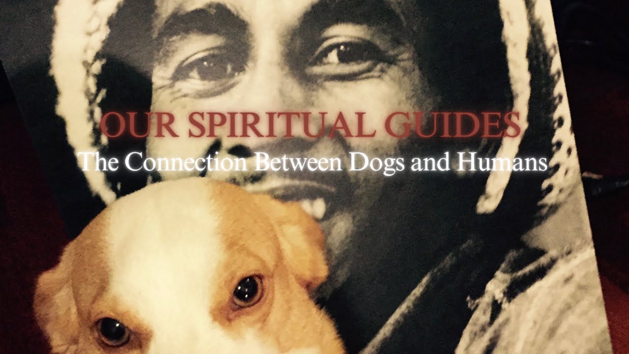 Our Spiritual Guides: The Connection Between Dogs and Humans