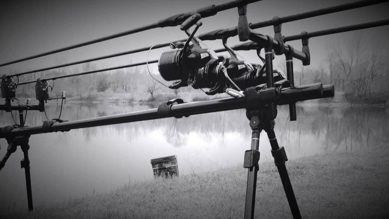 Shimano Tribal Ultra A 12ft / 3Lb .... Shimano Aero Technium 12000XTB mgs
