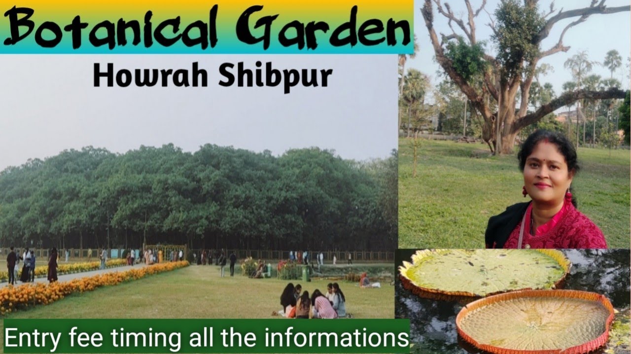 Kolkata Botanical Garden Tour 2024 l Howrah Shibpur l AJC Bose Indian Botanic Garden l Timing Ticket