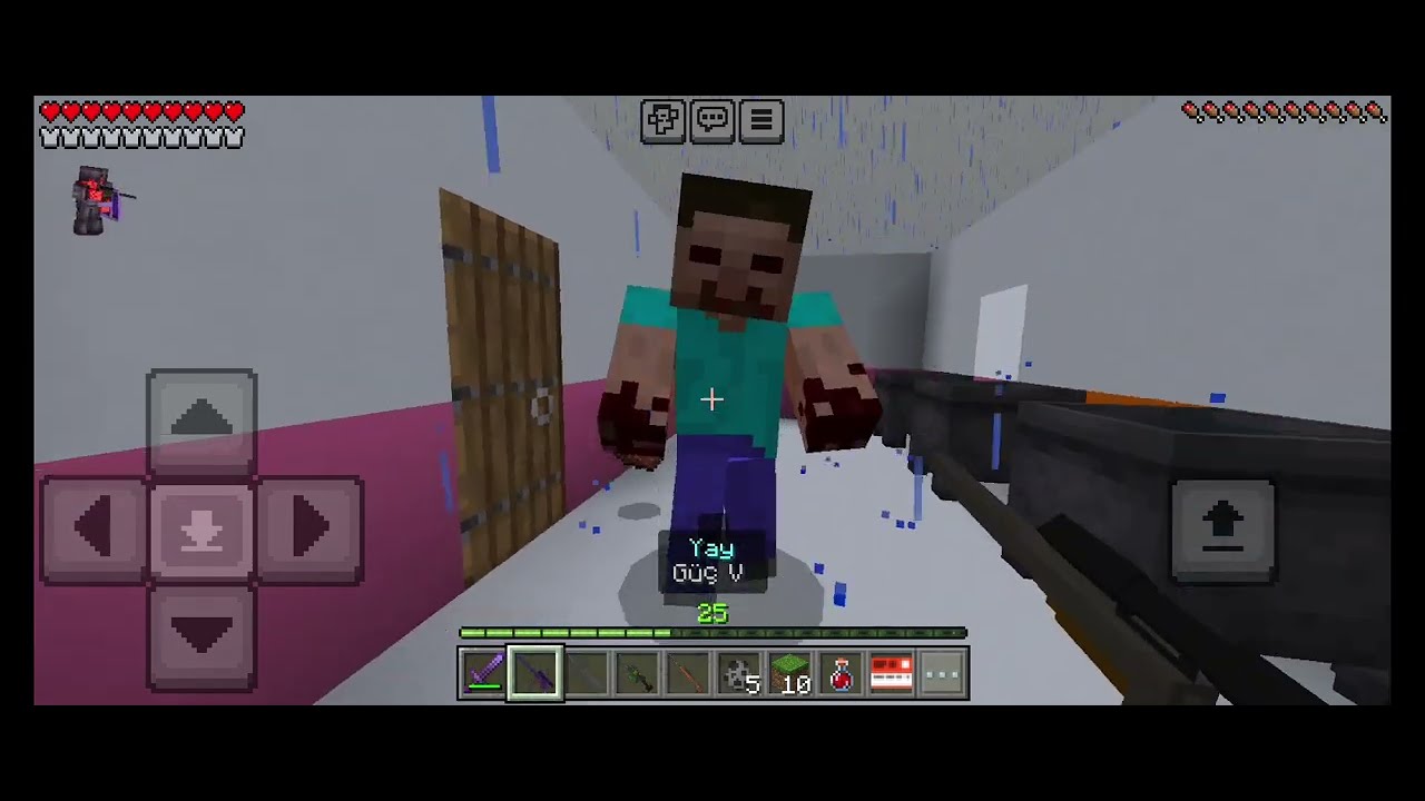 KAOS TEMİZLİĞİ (SCP minecraft)
