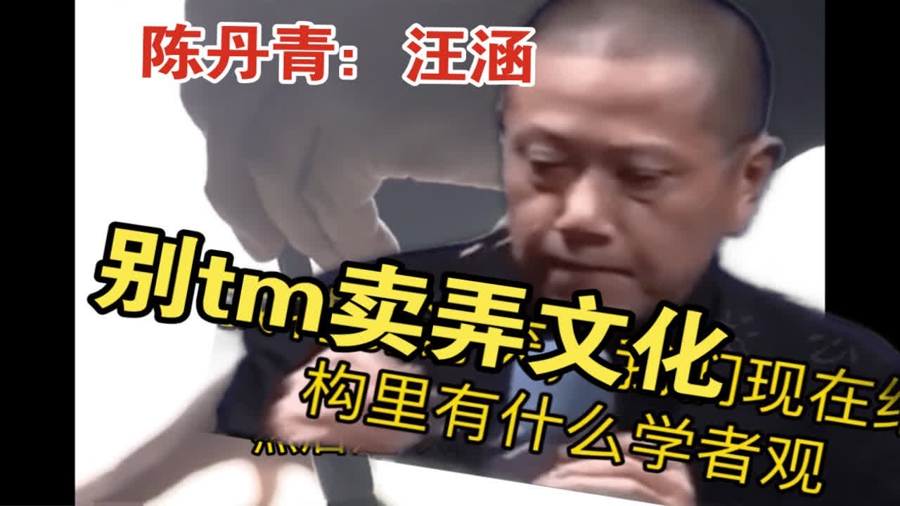 【陈丹青：汪涵】陈丹青讽刺汪涵卖弄文化，当文化人遇到&ldquo;文化人&rdquo;