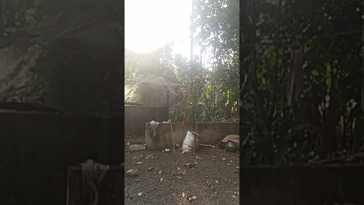 #sukhamodevi