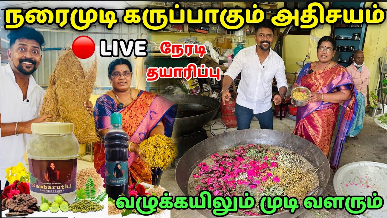 நரைமுடி கருப்பாகும் அதிசயம் நிரந்தர தீர்வு / Natural Herbal Hair Powder and Oil / Nanga Romba Busy