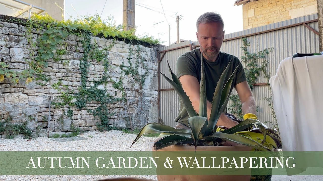 AUTUMN GARDEN & WALLPAPERING THE SITTING ROOM | Charente Living | French lifestyle | Rural France