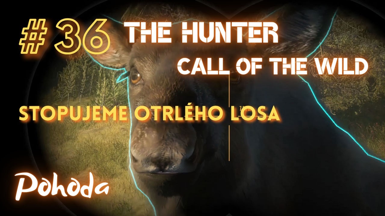 Nedělní Chill a Relax | #36 theHunter: Call of the Wild