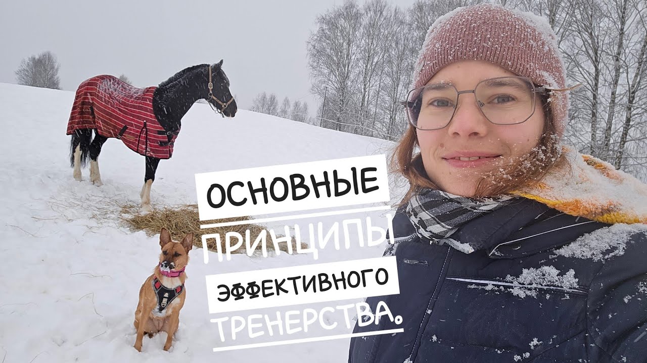 Основные принципы эффективного тренерства