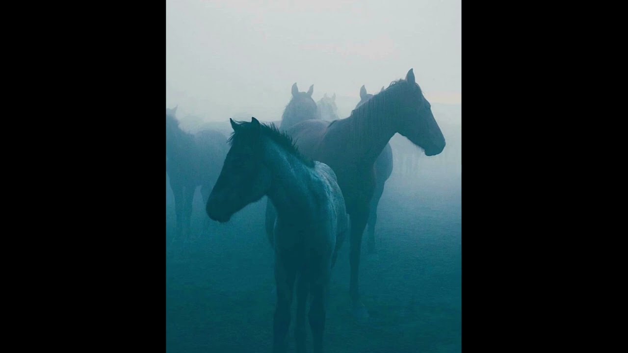 [free] YEAT x TRAVIS SCOTT x ADL type beat 