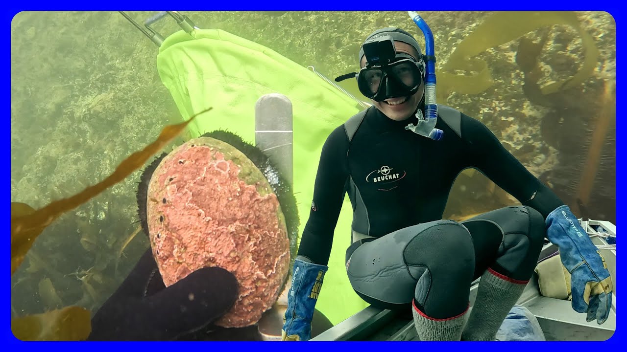 Paua Diving on an NZ Wild Adventure | Part 1