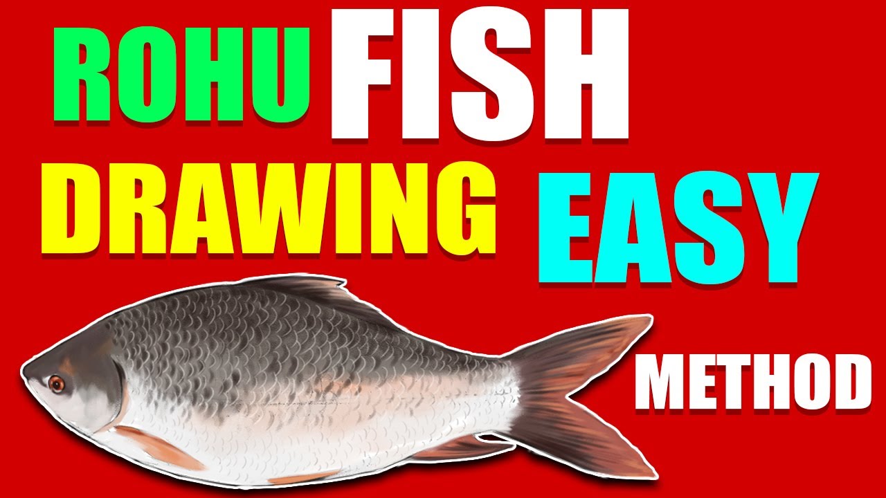 ROHU FISH DRAWING EASY METHOD | Fish drawing| Rohu fish ka drawing | Fish art | Rohu fish ka drawing