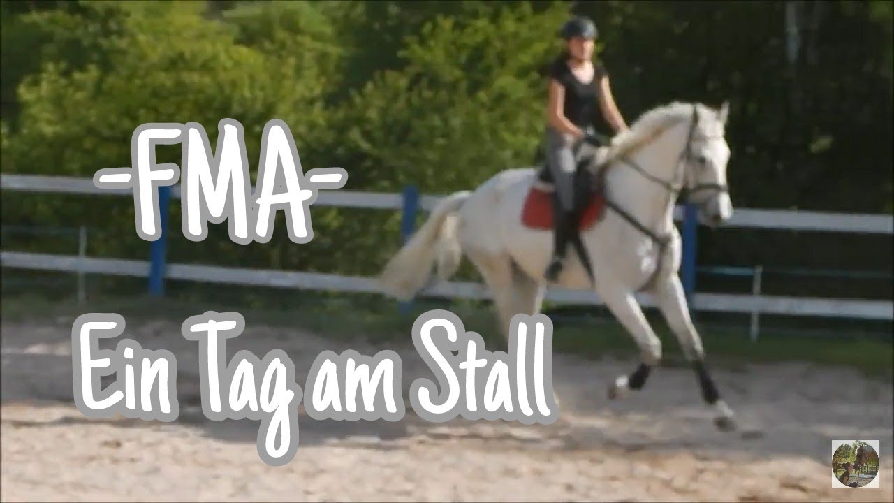FMA- Mein Stallalltag