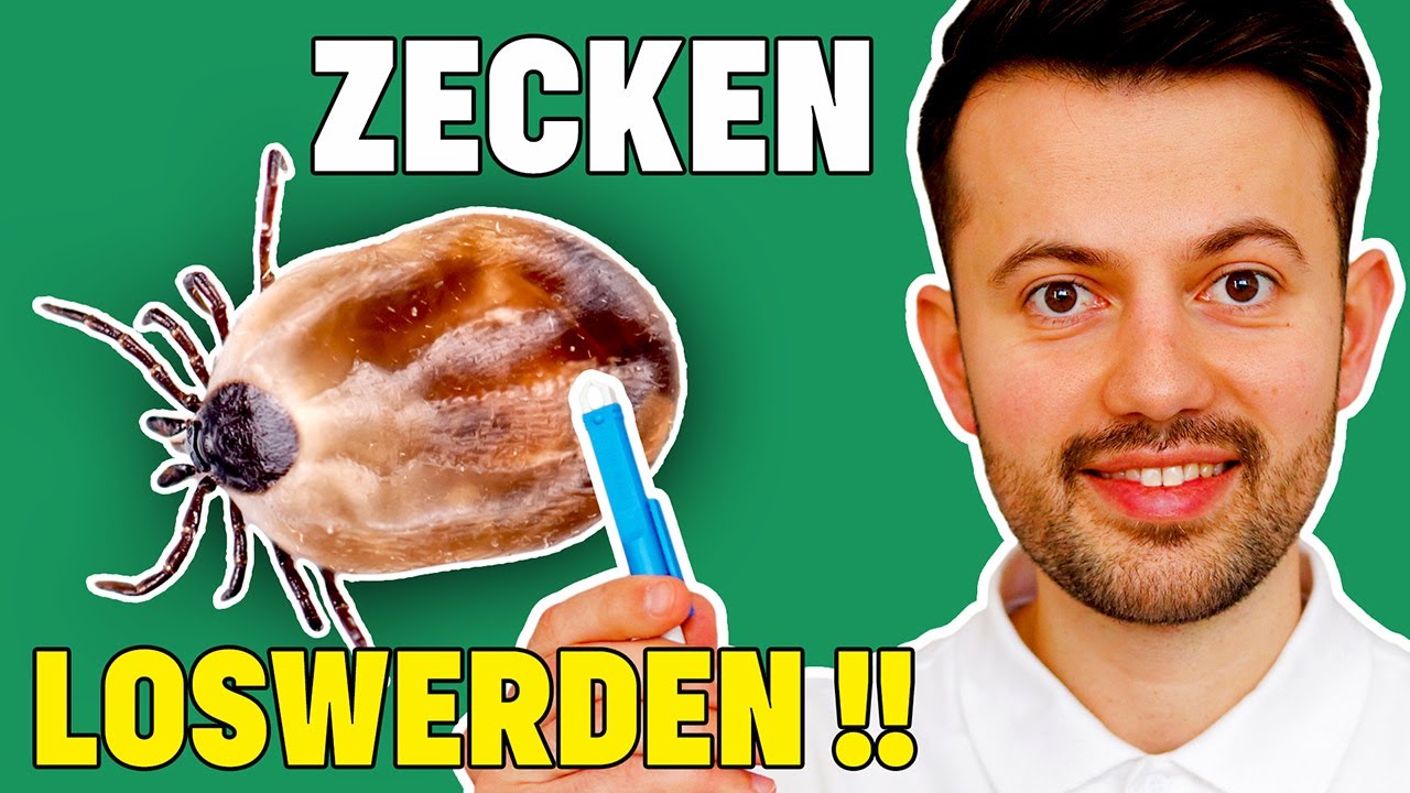 Was hilft am besten gegen Zecken beim Hund?? - Wichtige Tierarzt Tipps!