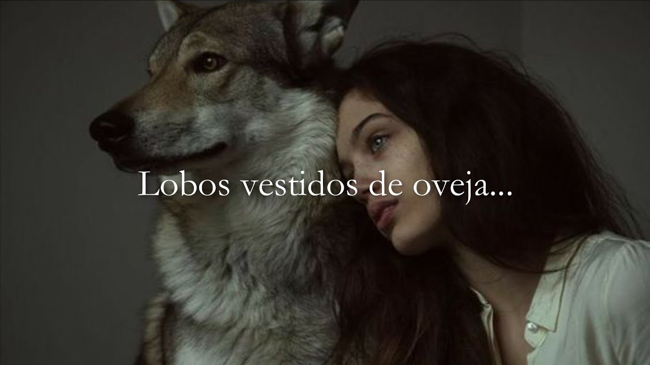 Lobos vestidos de oveja — Gilraen (ASMR Soft Spoken)