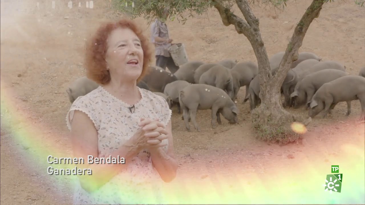 Campechanos | Cumpliendo sueños tras la jubilación