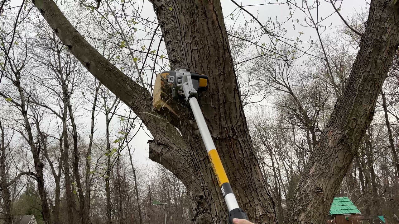 DEWALT 20V MAX XR Pole Saw, 15-Foot Reach (DCPS620M1)