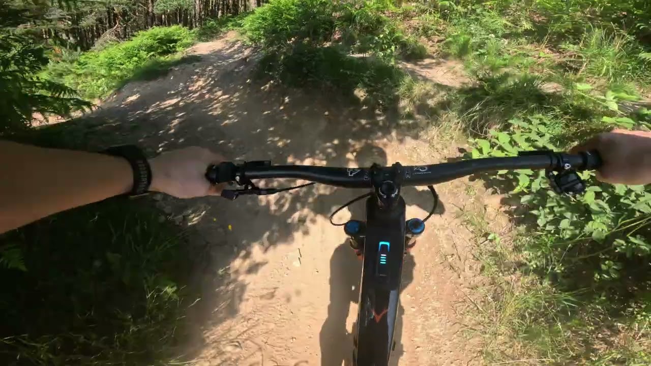 Bob Gnarly - Tirpentwys Trails - 18 06 25