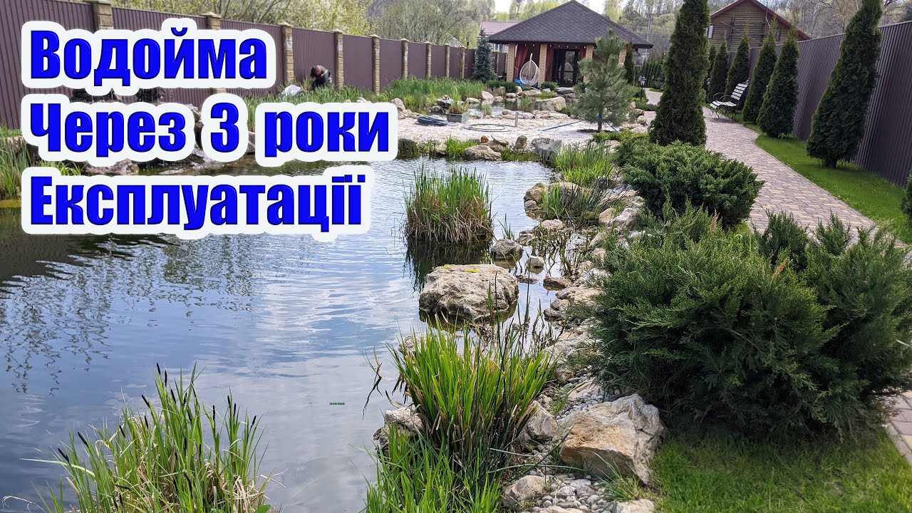 Водойма через 3 роки експлуатації