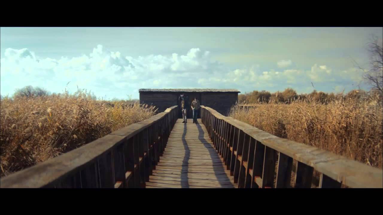 Proyecto Coca Cola en las Tablas de Daimiel