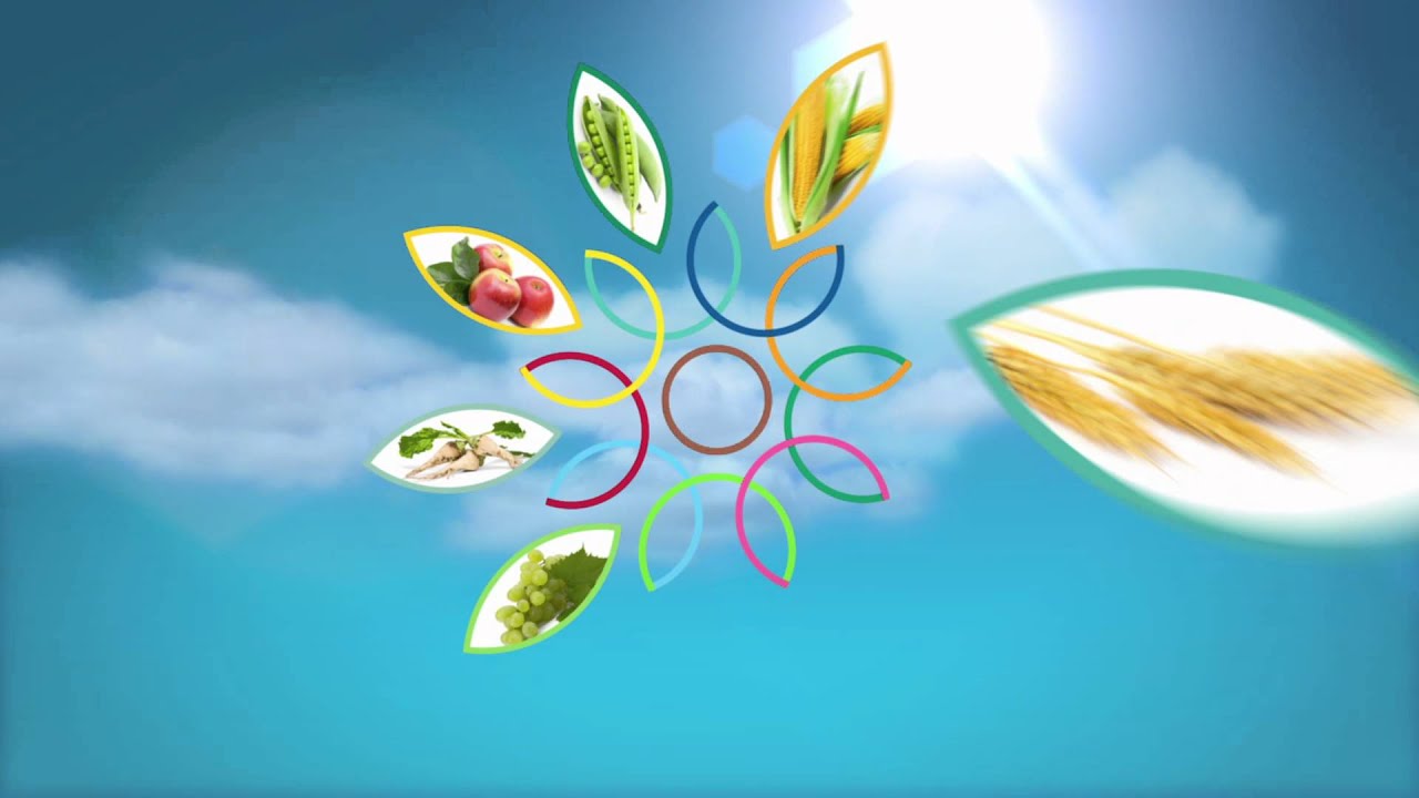 BASF Agro presentation intro Full HD