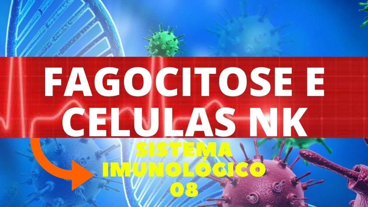 FAGOCITOSE E A&Ccedil;&Atilde;O DAS CELULAS NK(NATURAL KILLER) - (IMUNOLOGIA)  SISTEMA IMUNOL&Oacute;GICO
