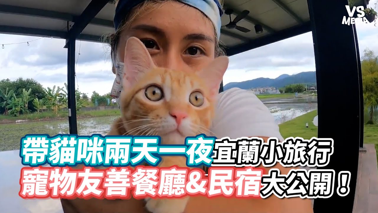 帶貓咪兩天一夜宜蘭小旅行寵物友善餐廳&民宿大公開！｜VS MEDIAｘ@cathy2wildddd