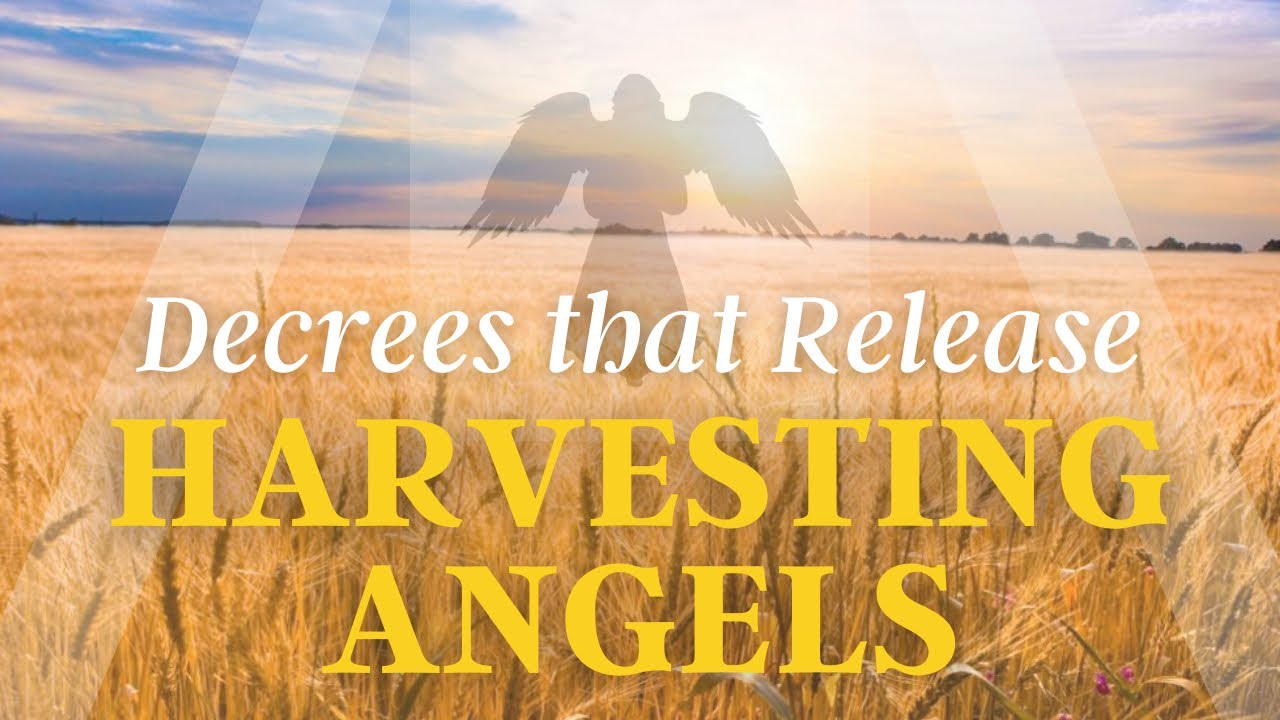 Decrees that Release Harvesting Angels | Joshua & Janet Mills | Glory Bible Study