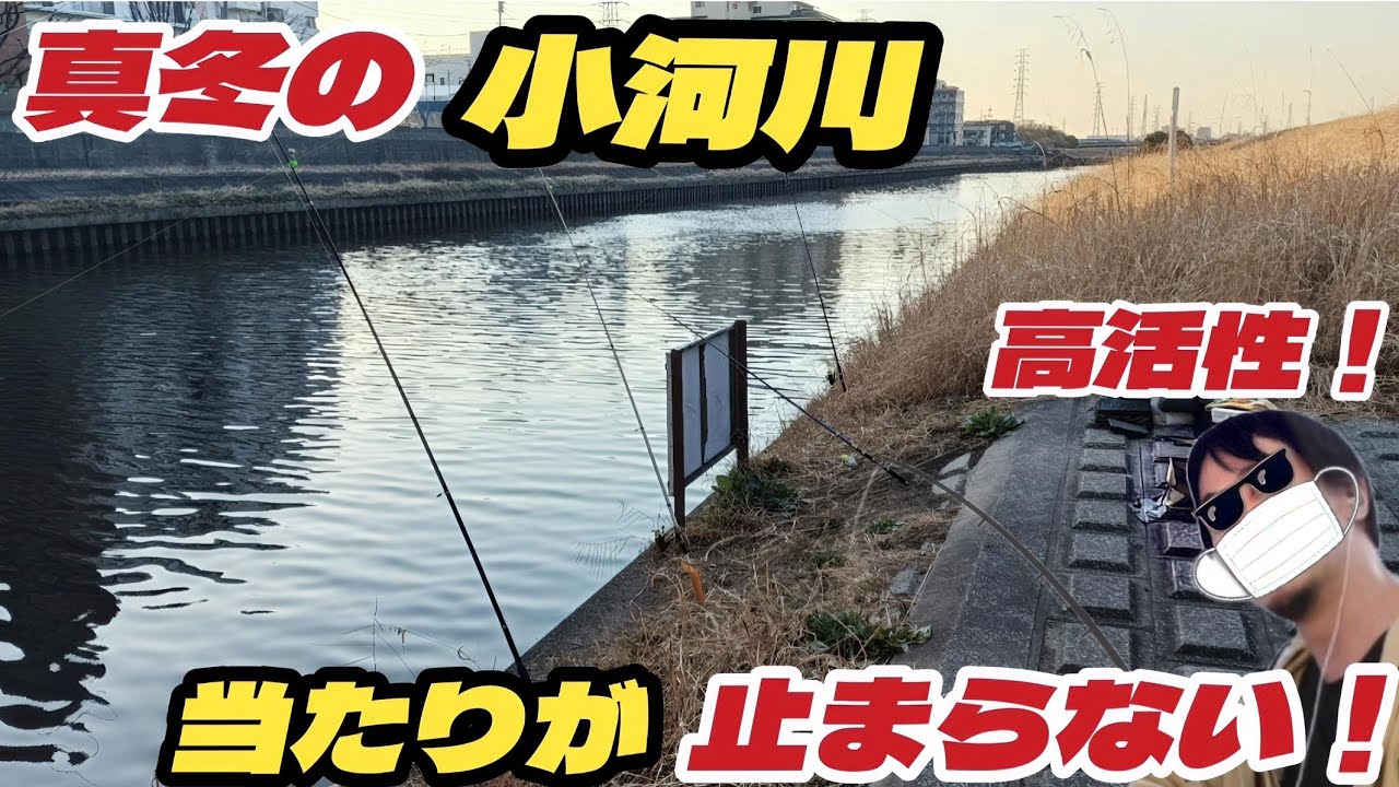 寒うなぎ釣りに行ったら活性が高過ぎた！