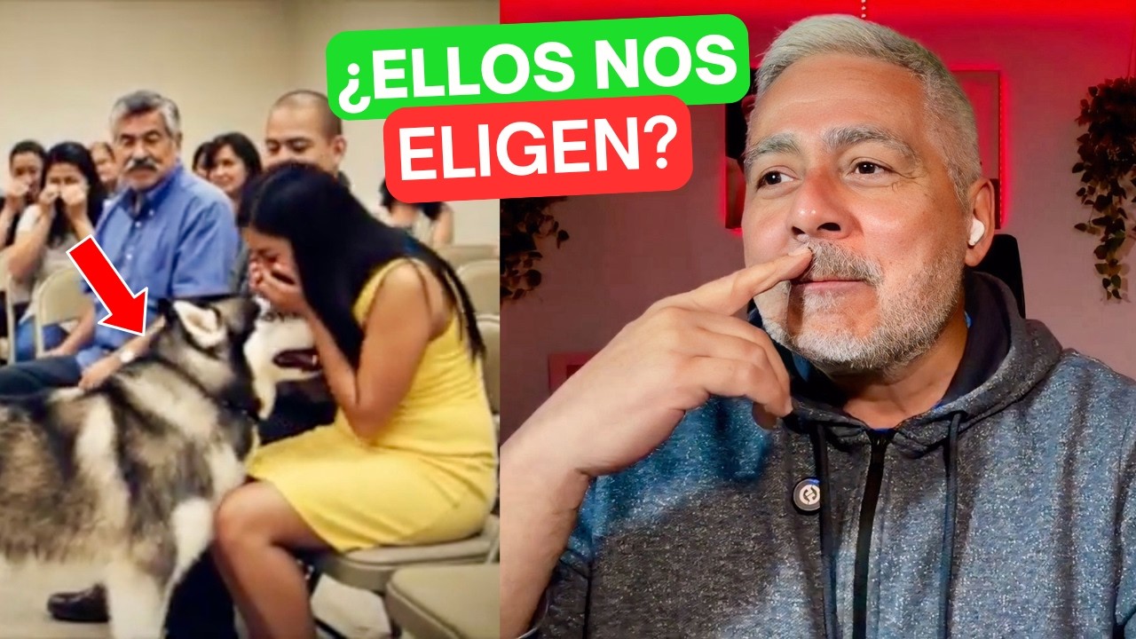 Los PERROS ELIGEN a sus dueños! 😱