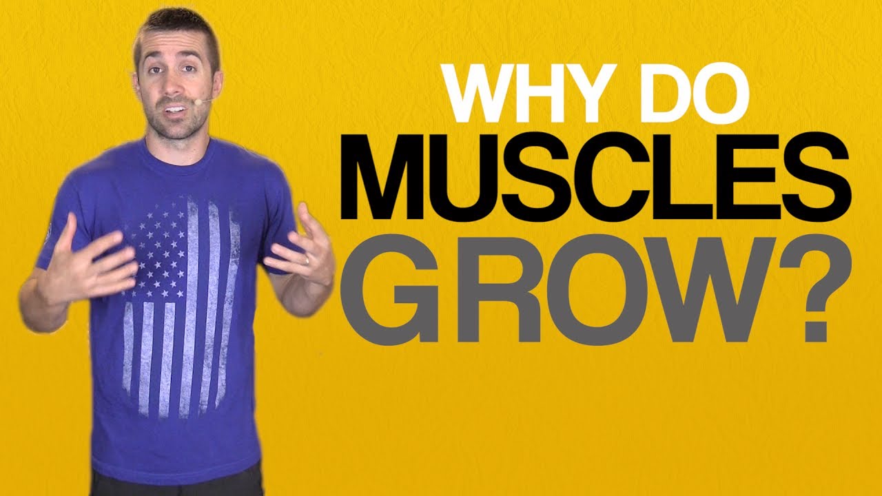 Why Do Muscles Grow?