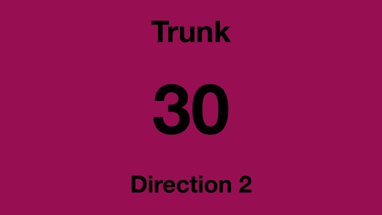 [SBS Transit] Trunk Bus Service 30 - Direction 2 Hyperlapse