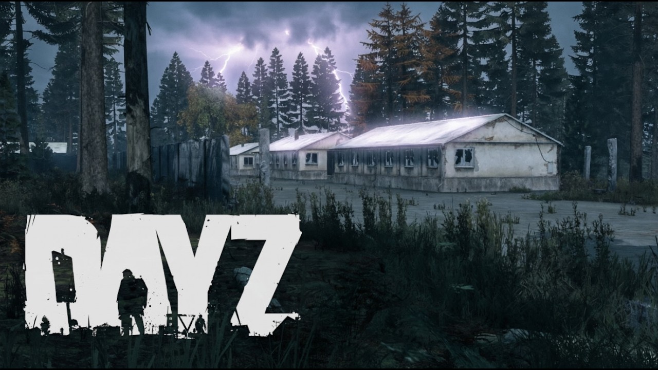 1000 часов ярости (нубства) в DAYZ #shorts